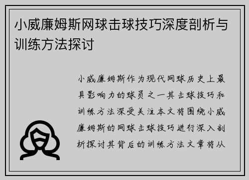 小威廉姆斯网球击球技巧深度剖析与训练方法探讨